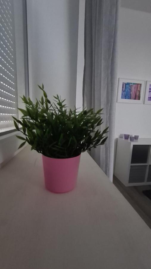 Appartement Lavendel, Ferienwohnung Mit Eigenem Eingang Wie Ein Kleines Haus Bad Salzuflen Dış mekan fotoğraf